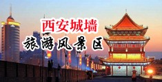 熟女骚屄中国陕西-西安城墙旅游风景区